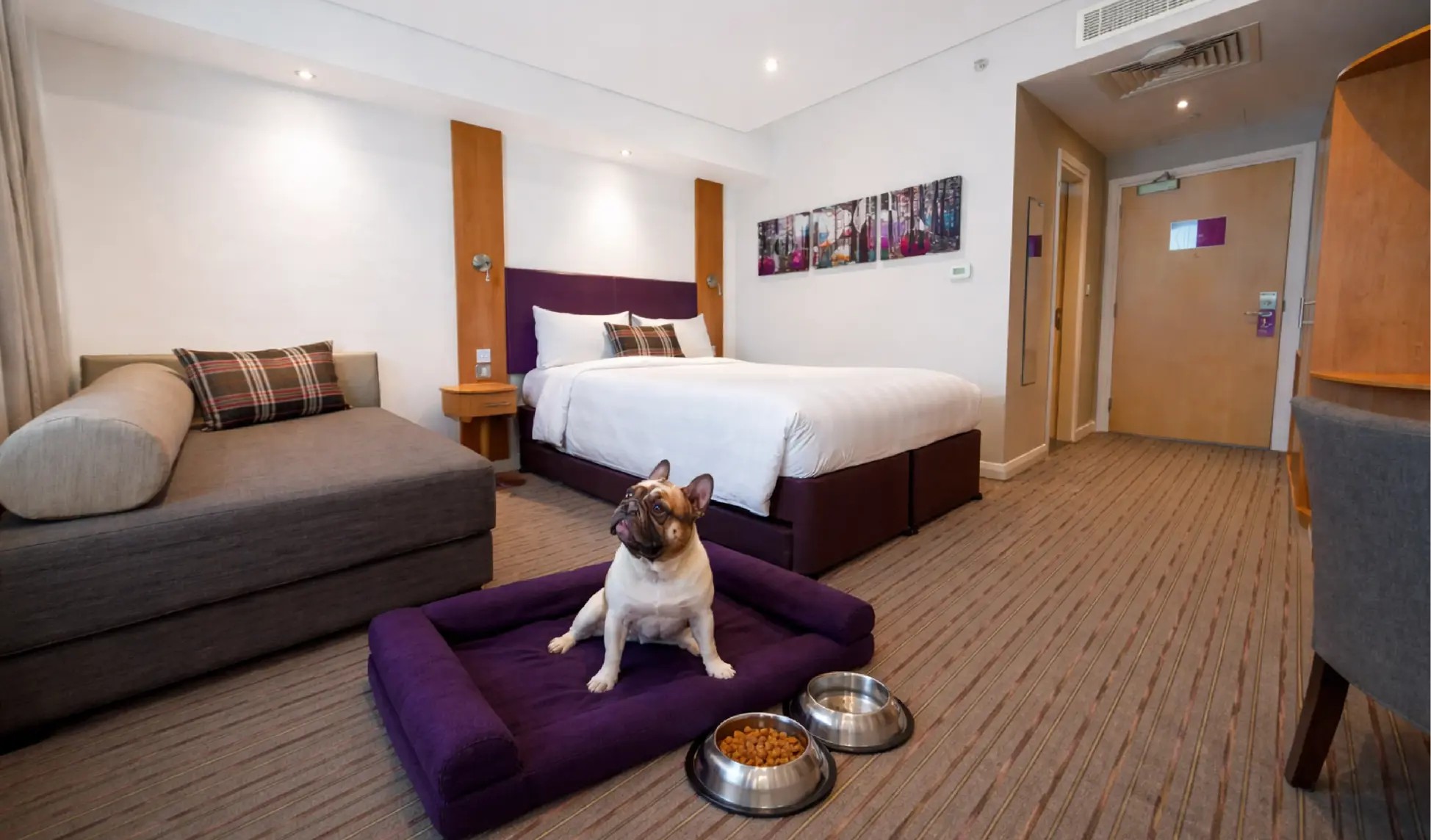 Dog friendly hotel room in Premier Inn Dubai Silicon Oasis