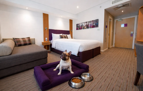 Premier Inn Hotel Dog-Friendly Rooms